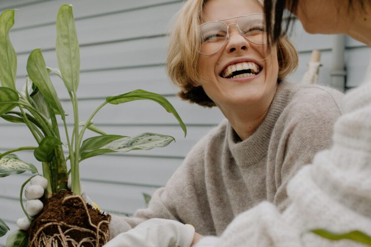 happiness plant