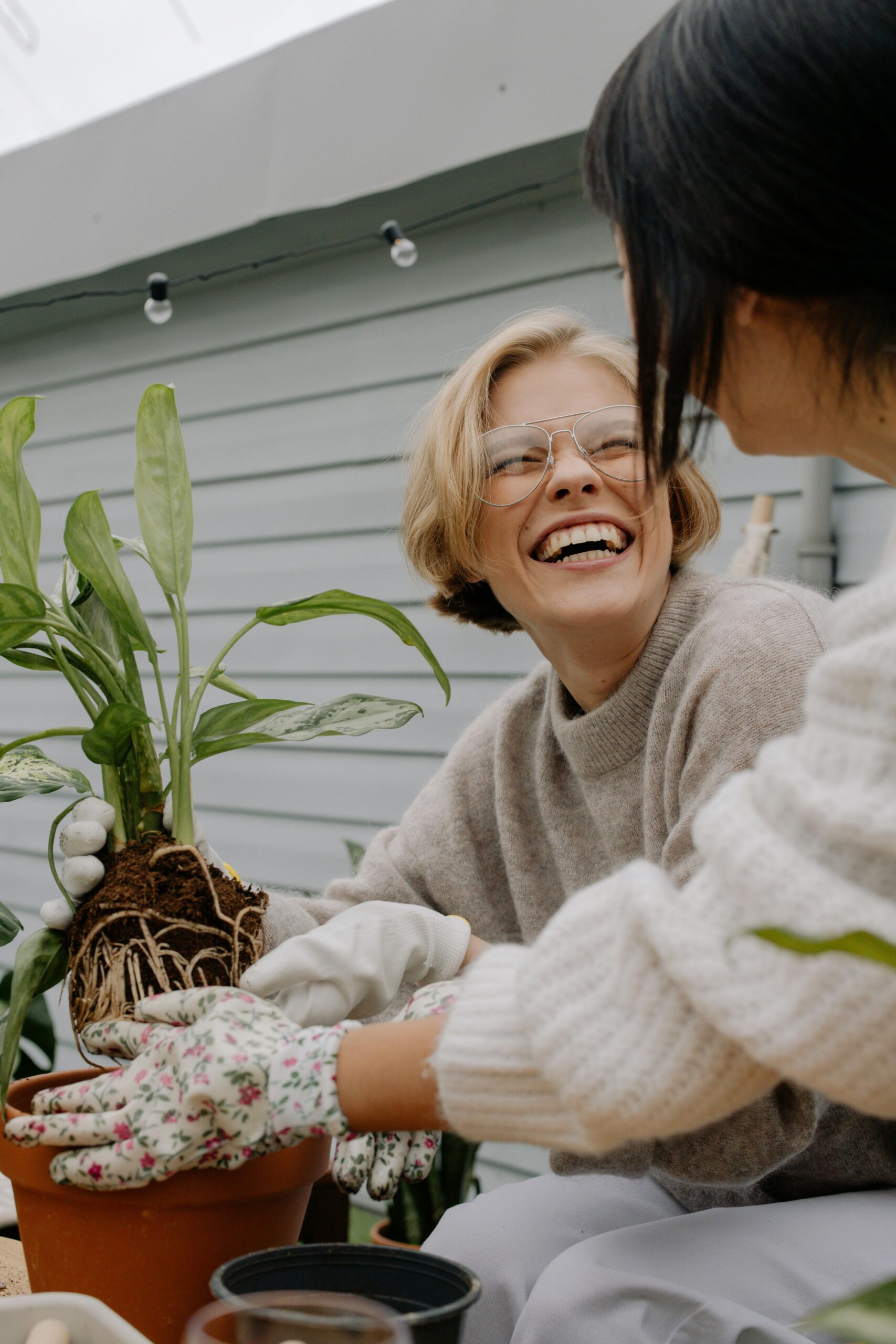 do plants make you happy