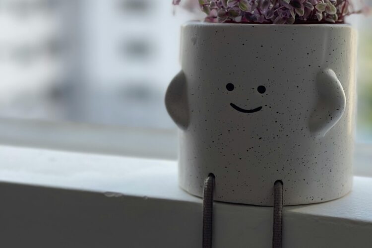 Chinese Happy Plant
