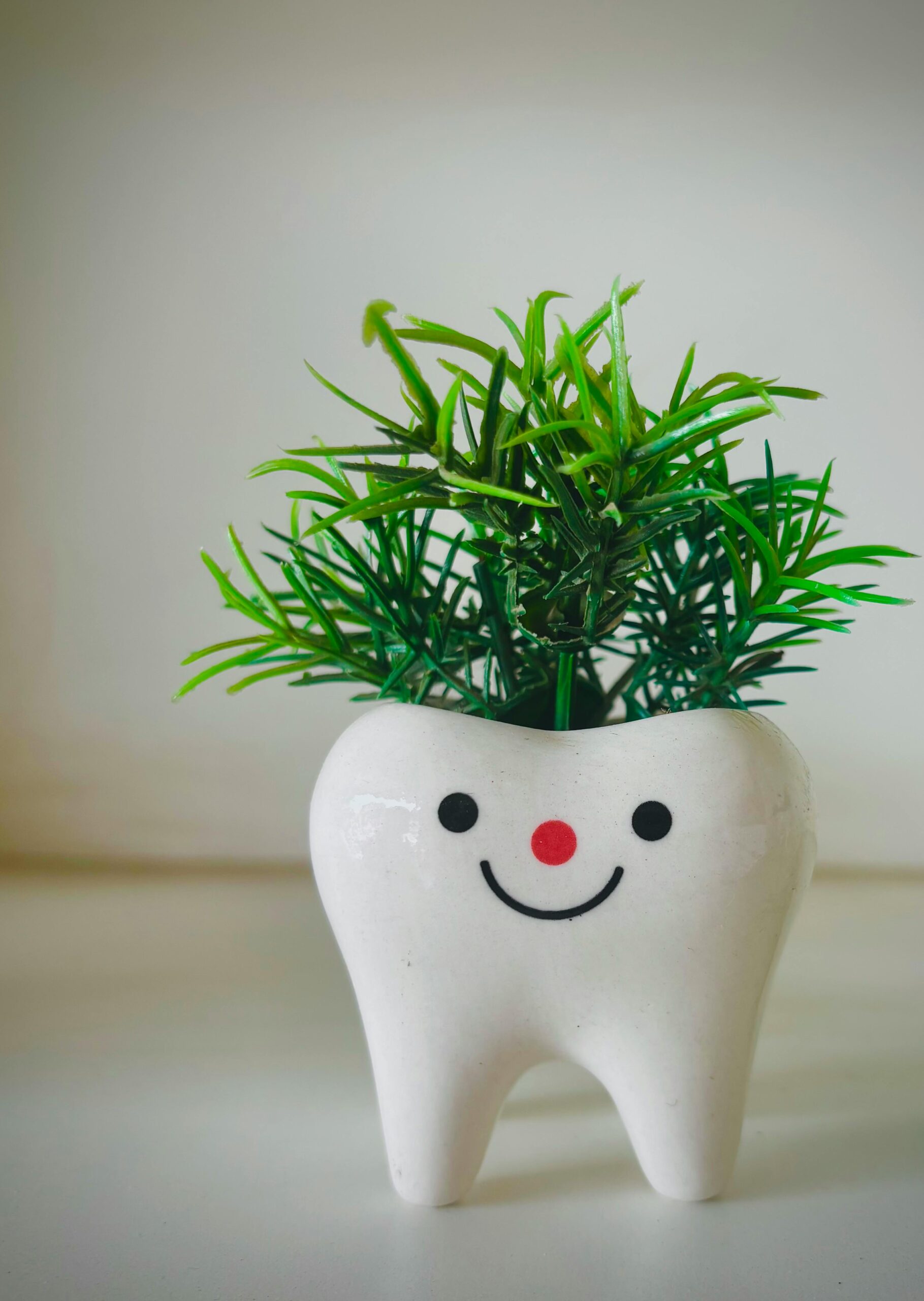 happy plant care