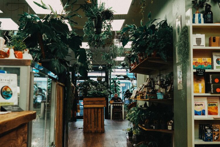 plants that bring happiness