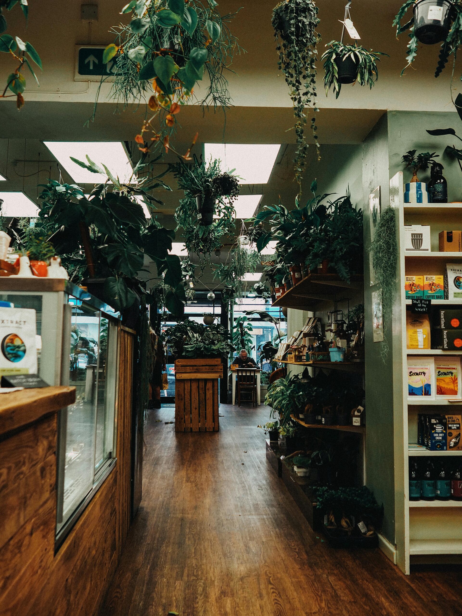 plants that bring happiness