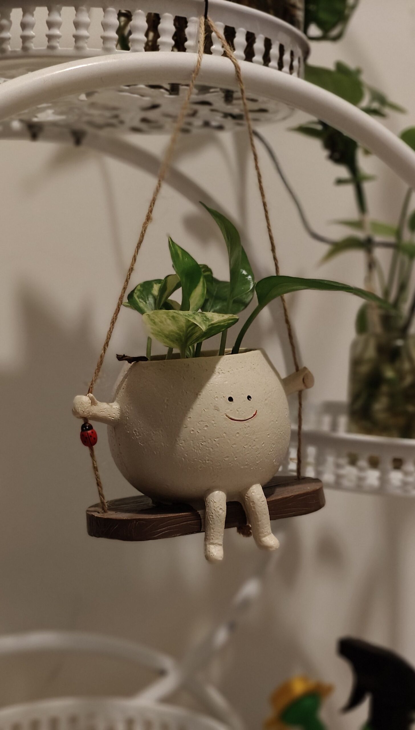 a happy plant flower