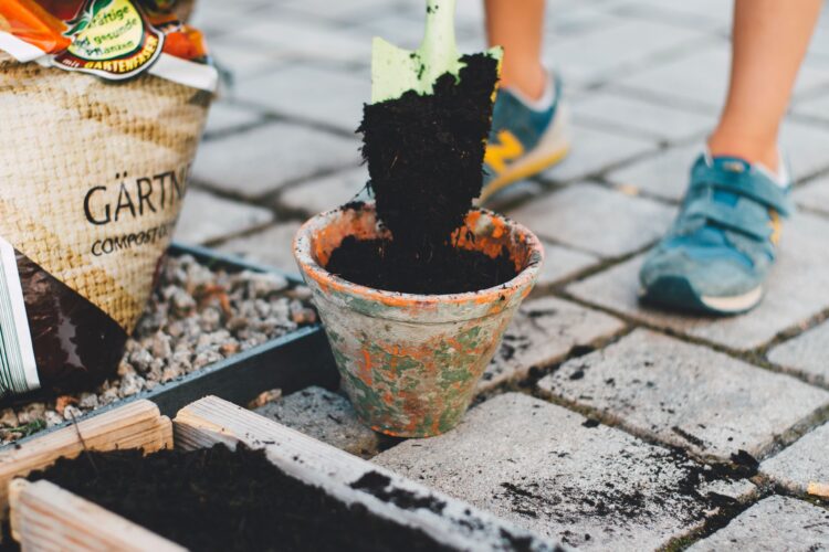 happy frog potting soil