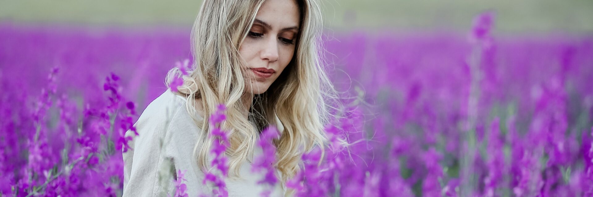 lavender plant care