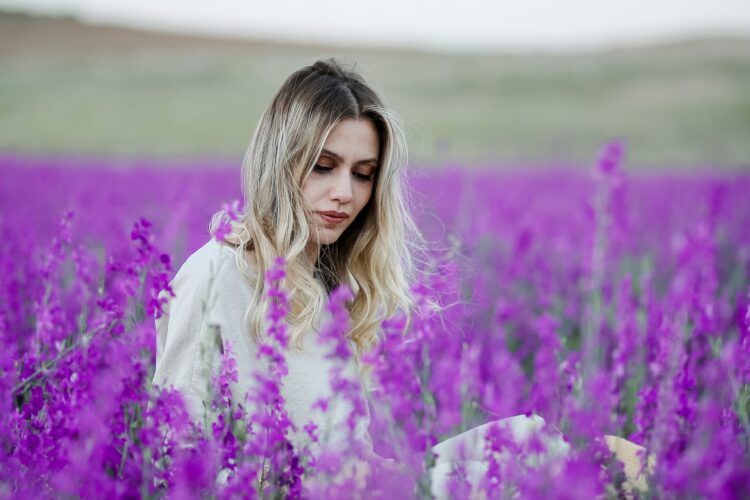 lavender plant care