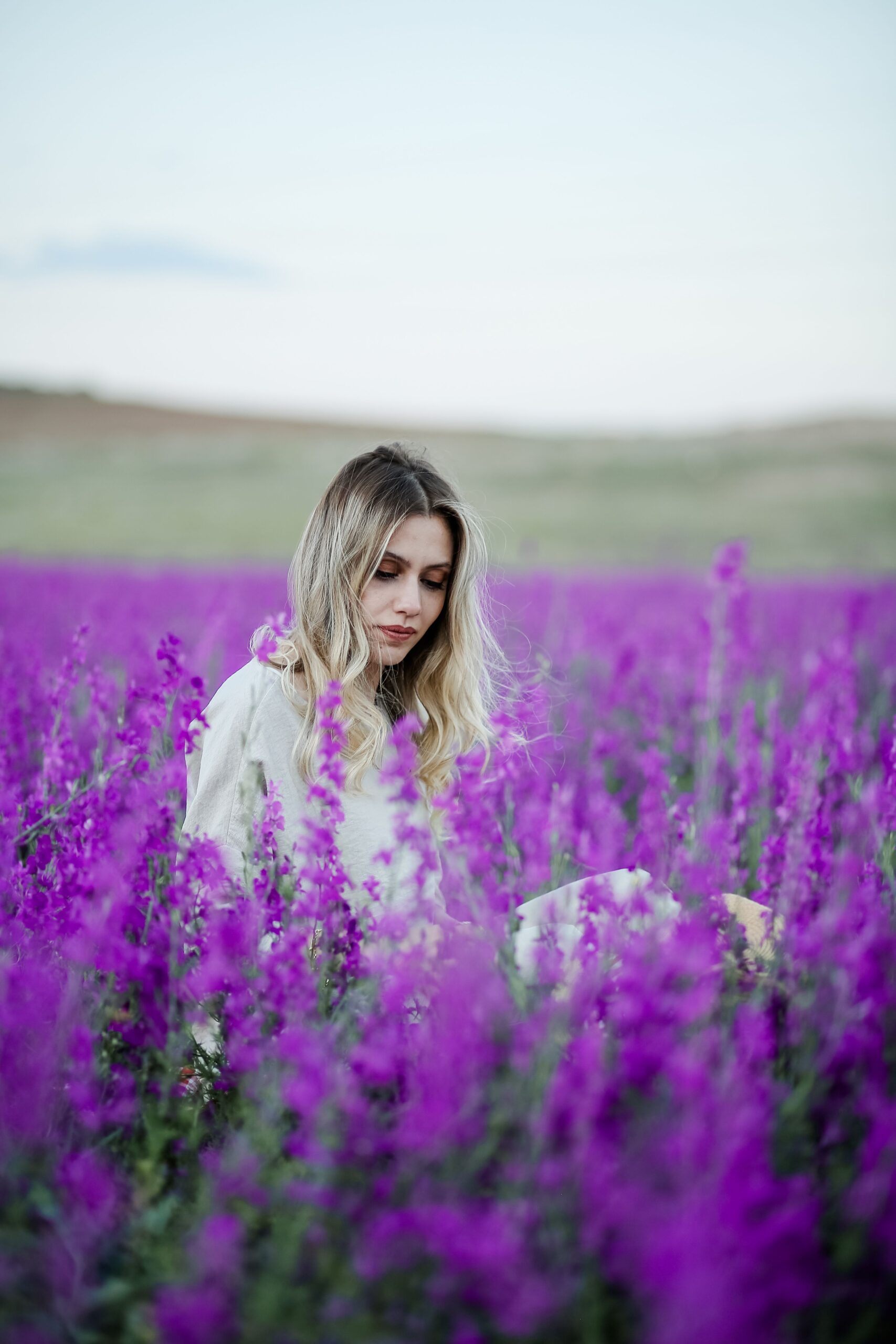 lavender plant care