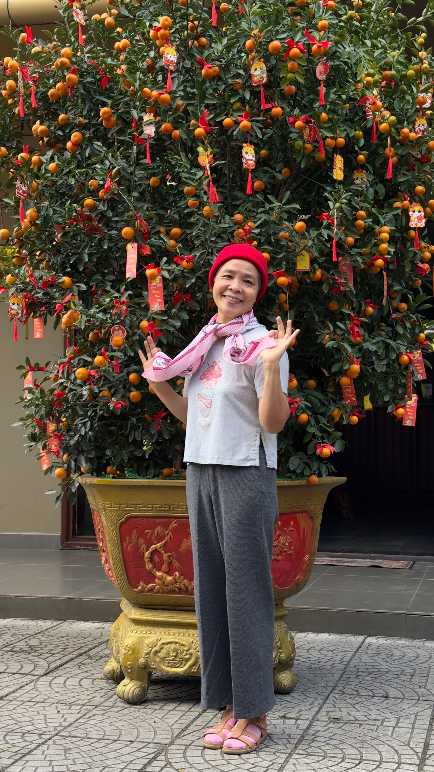 happiness tree plant