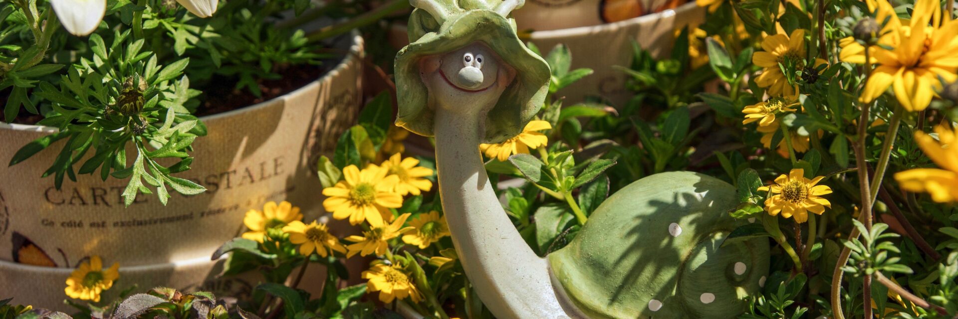 Happy Turtle Pots and Plants