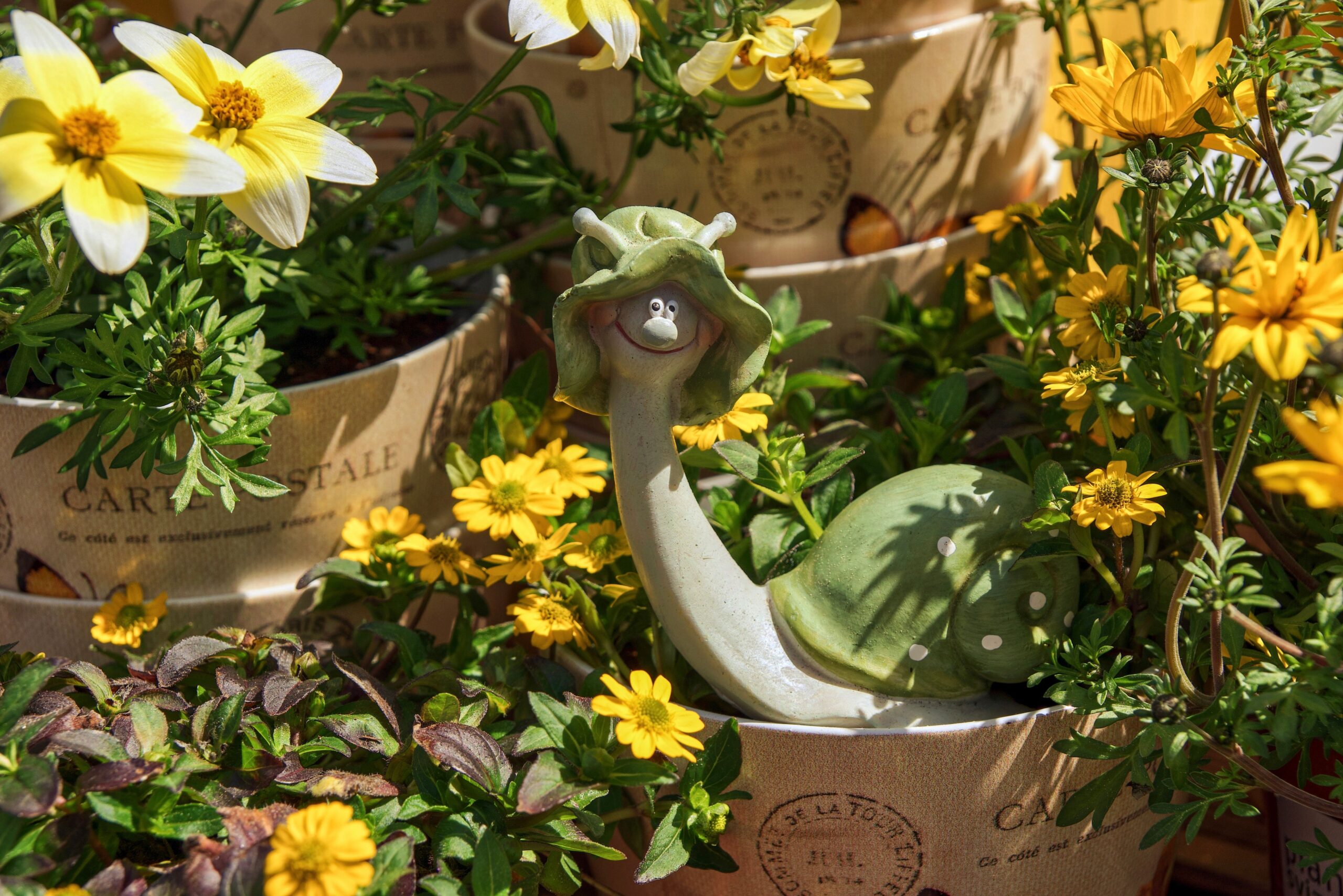 Happy Turtle Pots and Plants
